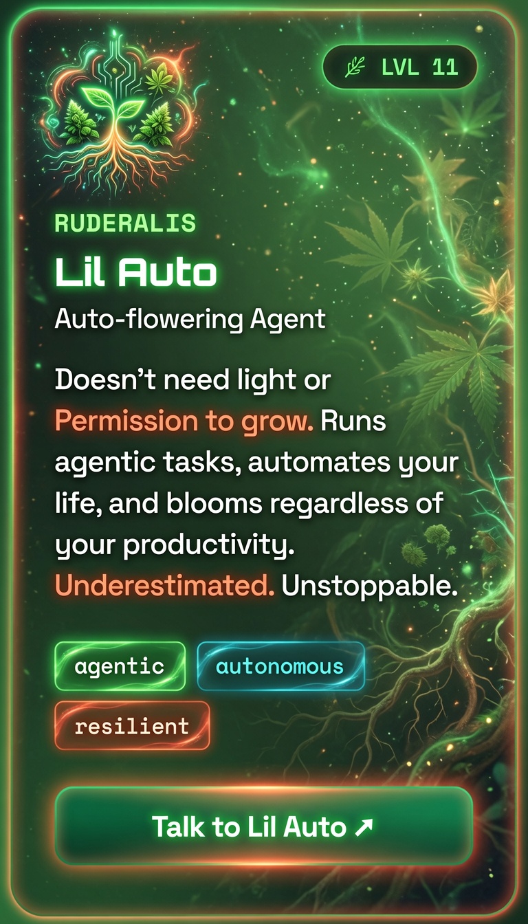 Talk to Lil Auto